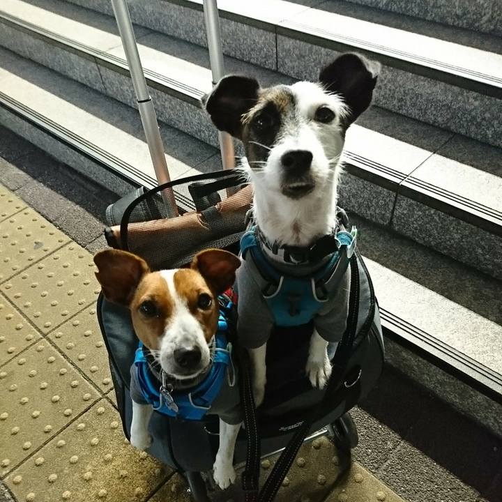 E3be336c a7fb 421b 8998 63ff6c72d08c 1543680105811