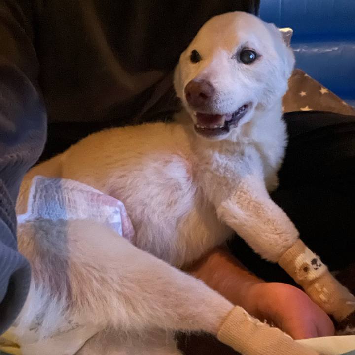 E3be4eec 6490 47c4 bf39 4b744bb58a14 1679406615353