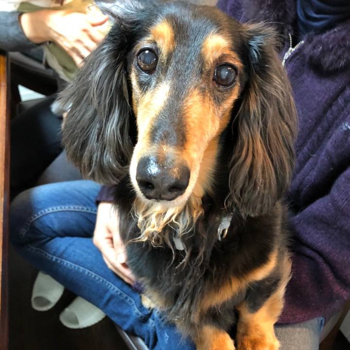 E3be96ba ff1e 4a1e b0e1 a0e9af73596e 1614521763174