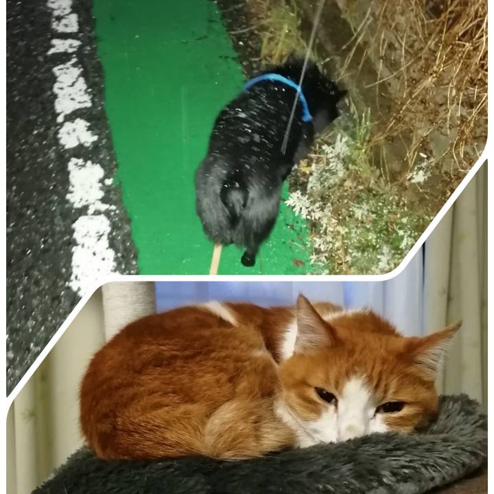 E3bea139 3db4 4458 8ed9 87cd9e079595 1610403188847