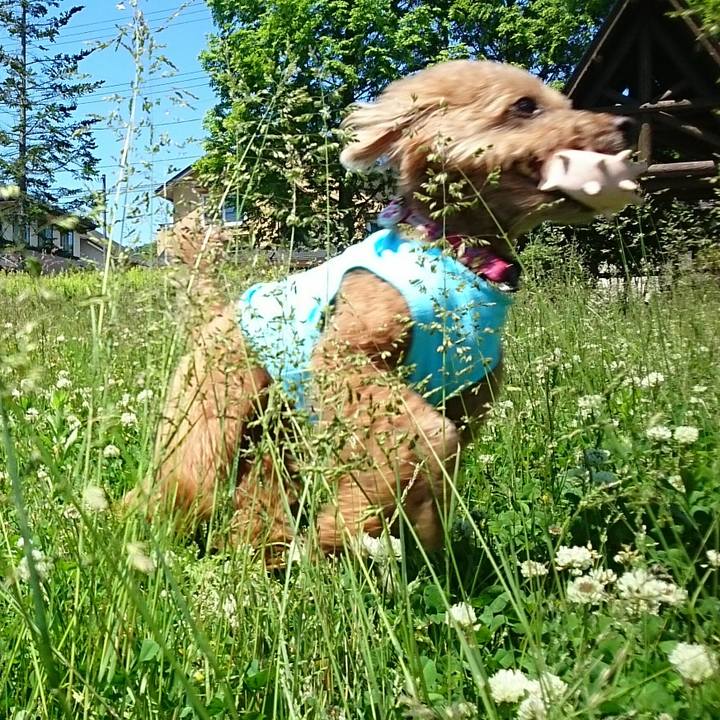 E3beb842 e70c 4ac4 b862 1616fd528e9b 1526818504647