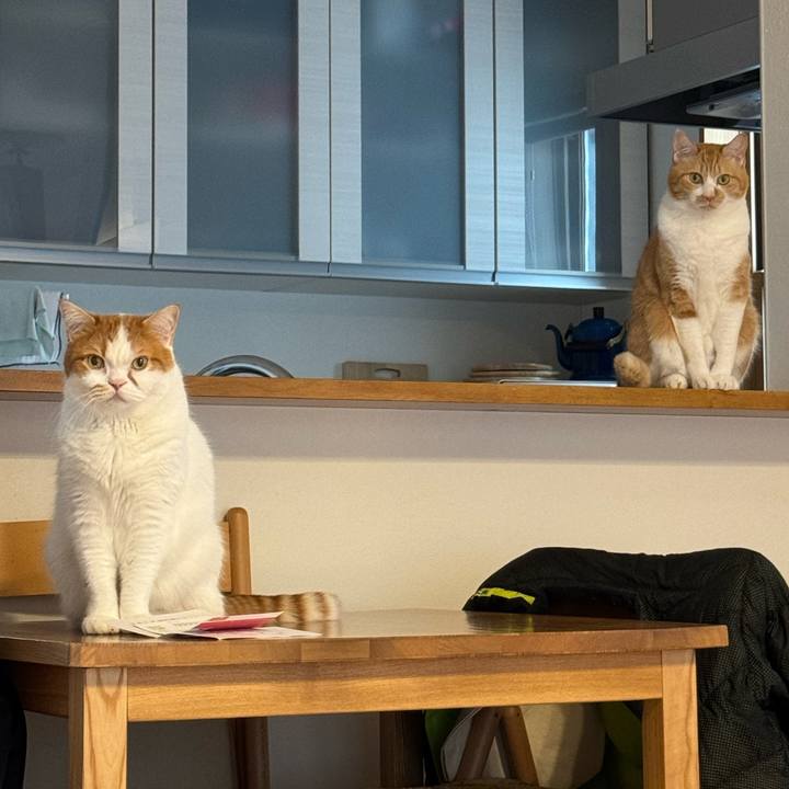 E3bedf1d 01dc 42ed 95b9 adc28374f5b5 1774093169446