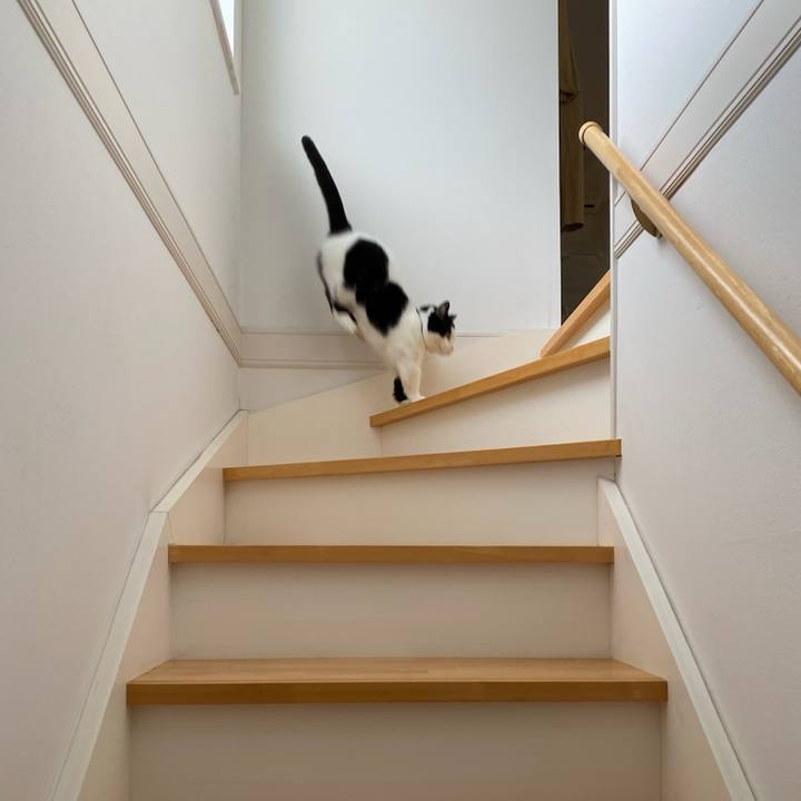 E3bf0b52 d16f 4791 bfb9 0c314612481a 1775601939469