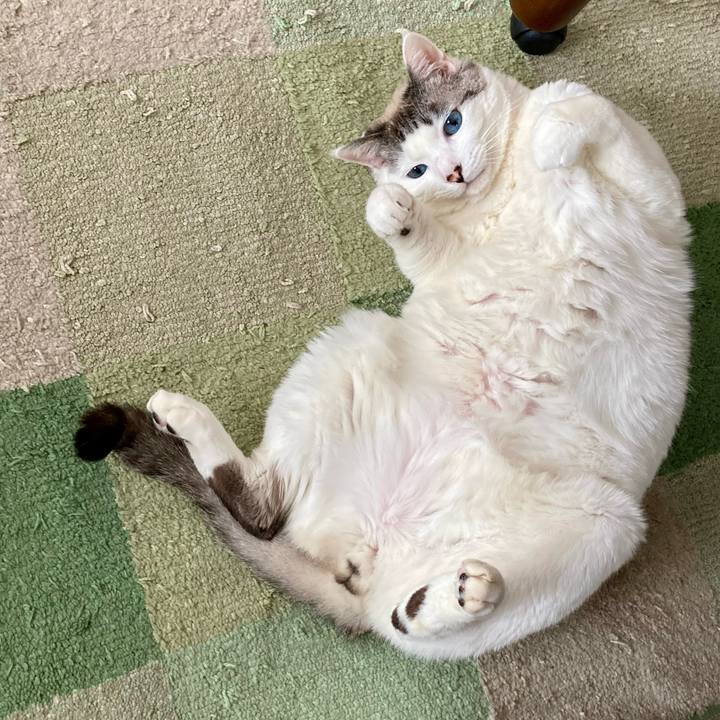 E3bf20f9 5da7 4e81 a15b d81e1e6de80b 1712902794267