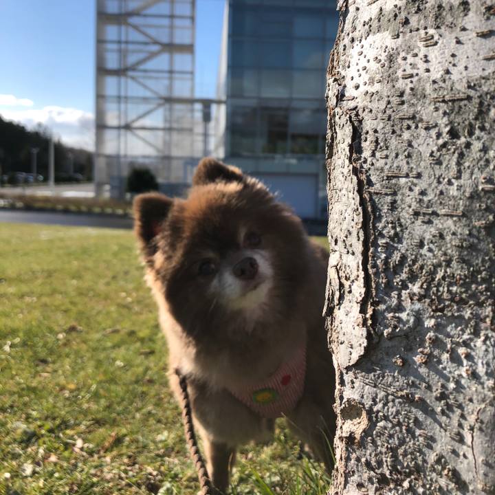 E3bf2fbc 9ee3 48b5 93fc 44a5ba4bfa97 1638159880989