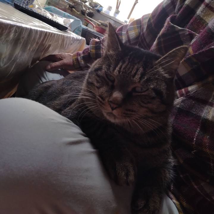 E3bf5538 d3e2 43cf b329 cb34f510e576 1667613496110