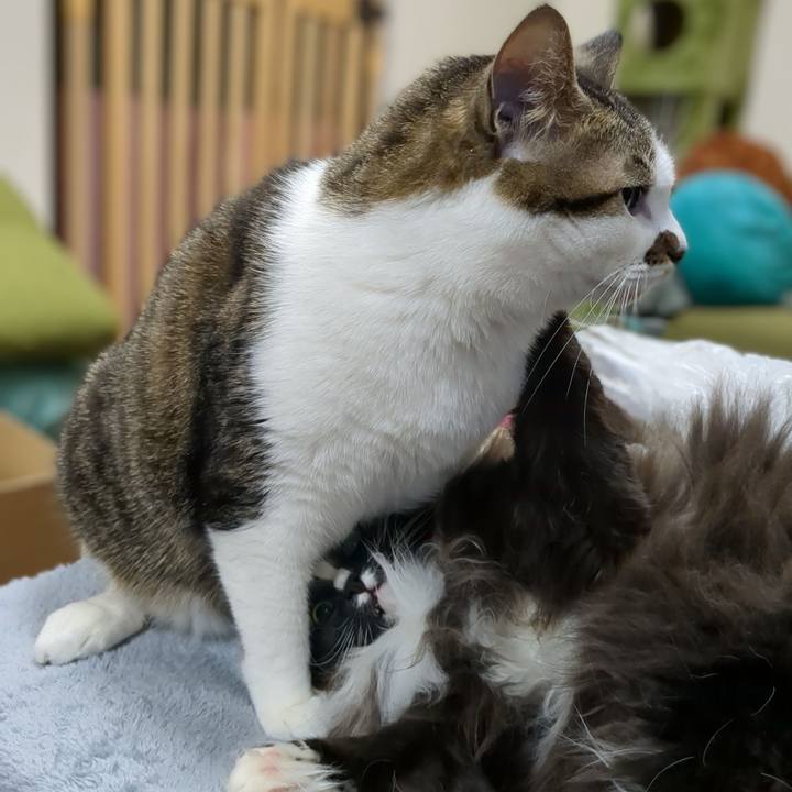 E3bf7a73 e46a 4924 91a2 e7ec3e3e0565 1670206102769