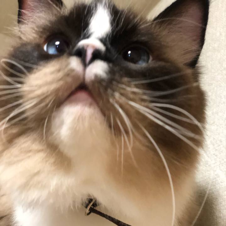 E3bfc8f8 c6cf 4a2a b041 0187929574ef 1573741657378