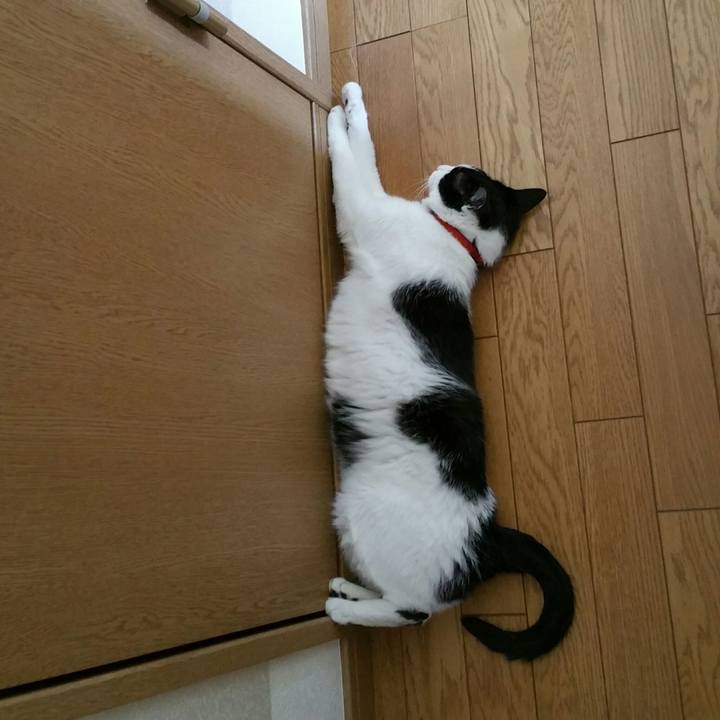 E3c0ab26 8333 4da9 b798 b9e586a5a969 1532042505216