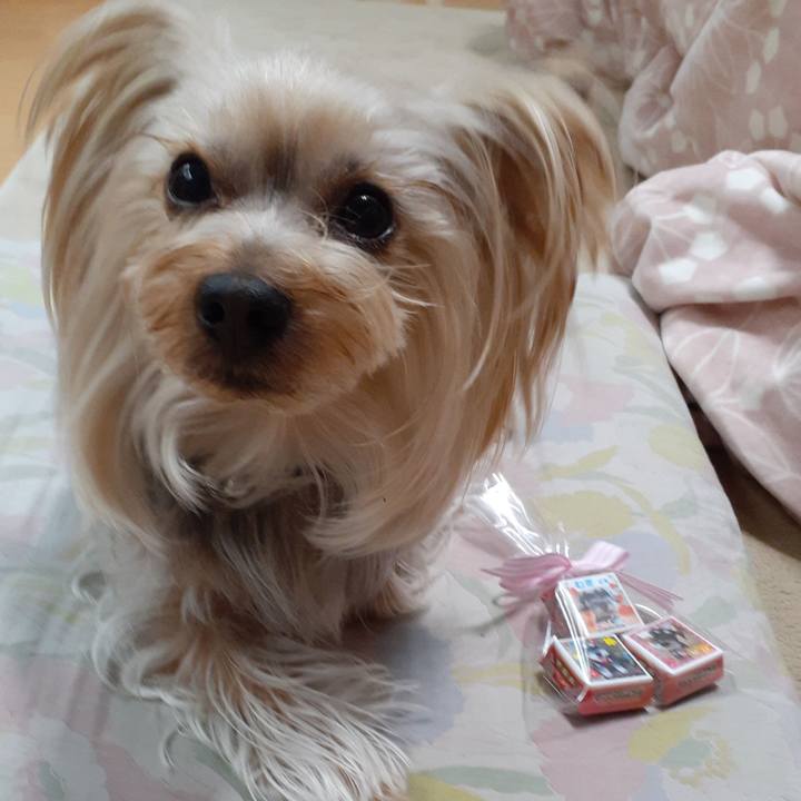 E3c0cd33 adf9 462f bb9f c65bd7794112 1613089195548