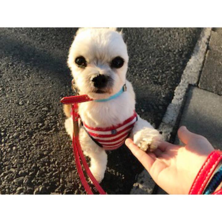 E3c0e07b bd53 4dce b4a9 2dc1fe7aad00 1548069473410