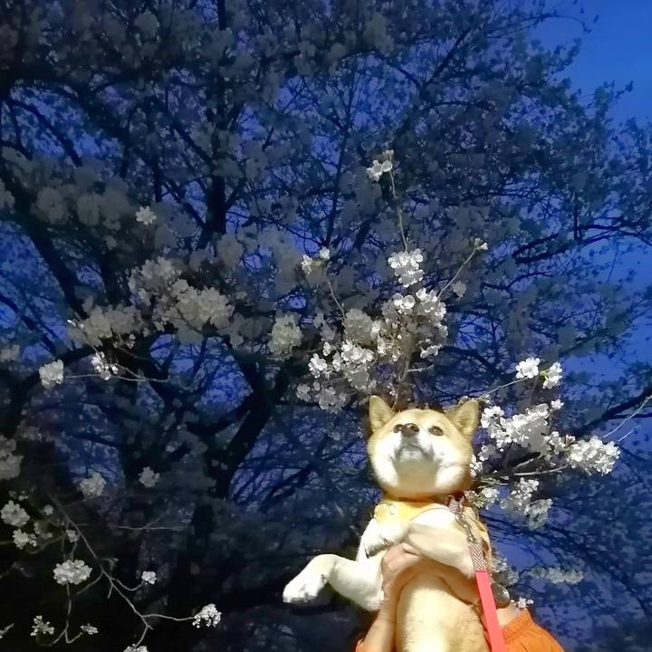 E3c104e3 34f8 40b4 a808 d08b0bbbe611 1648477827559