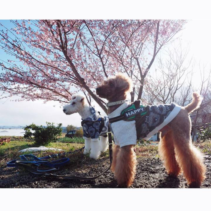 E3c10b1e 6467 47f7 ad34 ec4e8a6e420e 1554073828001