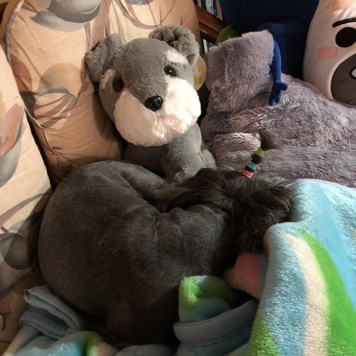 E3c1113e 303d 4403 8a8e c57f9ed17c85 1538896455572