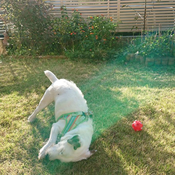 E3c1225a 0ba1 4f88 b4d0 b4355fda6d51 1574121324886