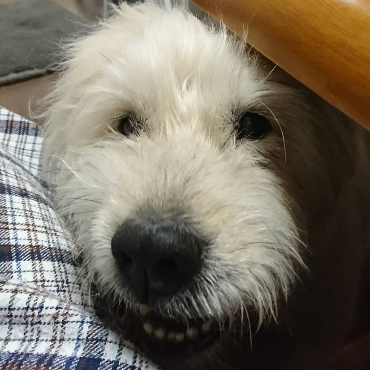 E3c1affc 4401 4385 b429 23820be3eb7a 1607432799249