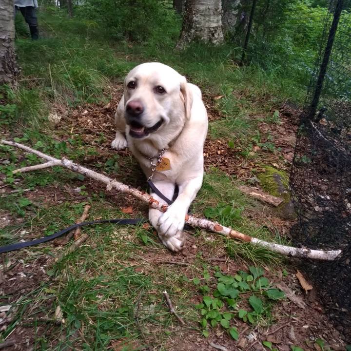 E3c1b30b 6b80 4cb9 bd4d 04239eb56b5d 1597325329707