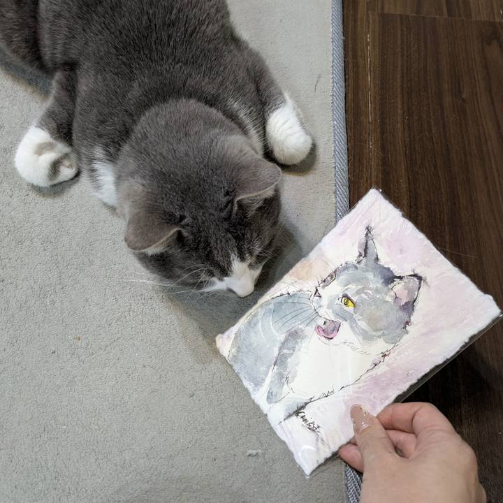 E3c20bb8 ed71 4443 990e 998606fb1001 1771852875000