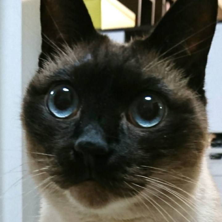 E3c2666f e9ef 4eae a10d 9c9998d9e37c 1556373988300