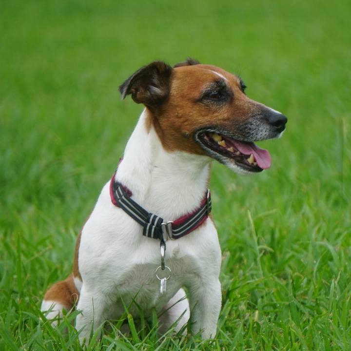 E3c273bd 9657 45b0 86e7 de9c2163d556 1567636971934