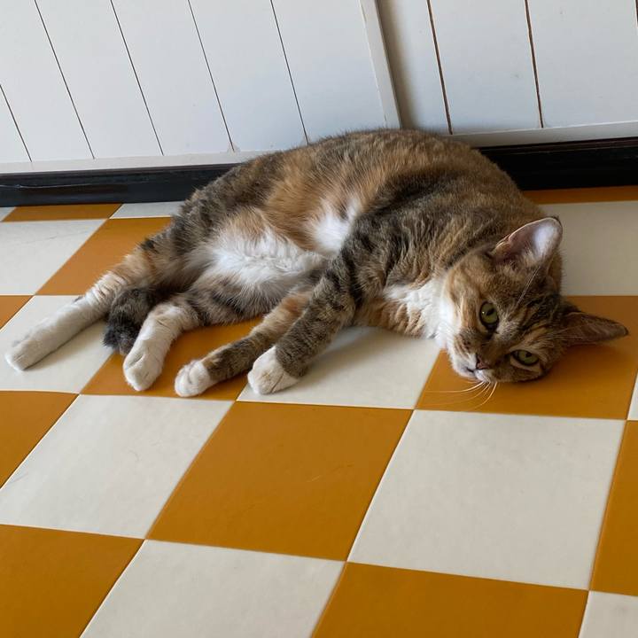 E3c27438 81e8 4c8f a2c6 b16337643f9c 1692510287389