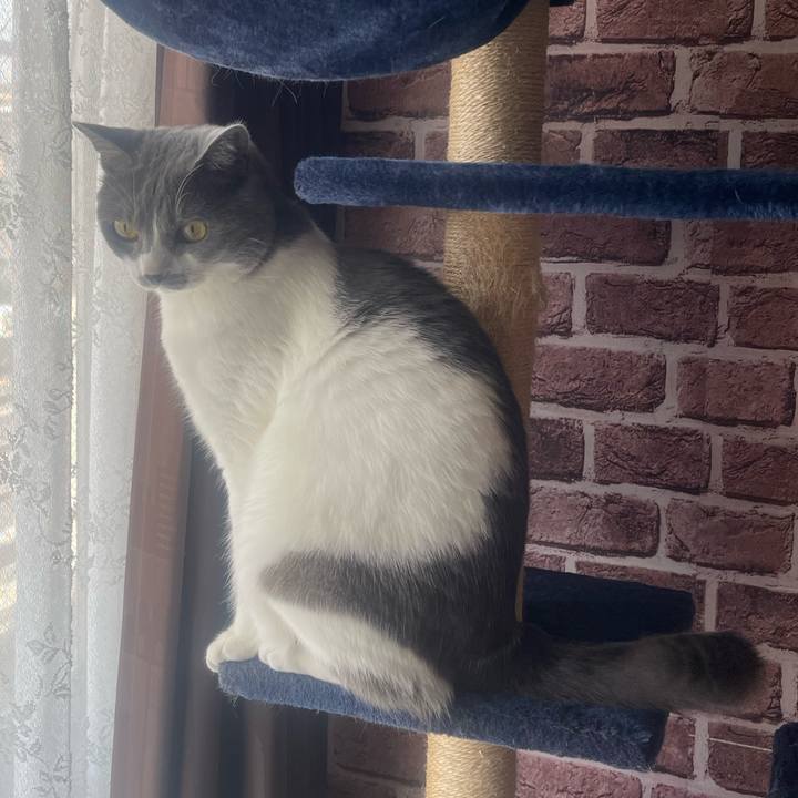 E3c30340 c622 456f a099 36f730d14e8b 1654220558148