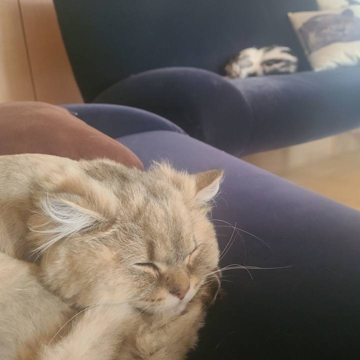 E3c30c99 4c24 4e74 a9fc 391159a742c8 1655111091585