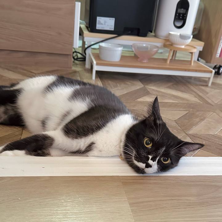 E3c31404 eae7 4468 8660 d9be7256c9ac 1761516252896