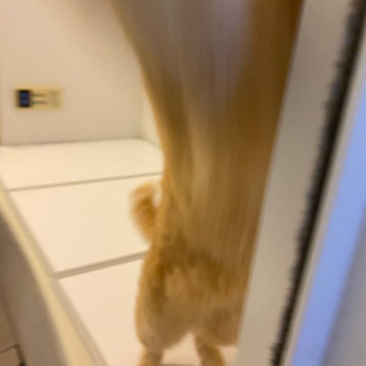 E3c326af 89f2 4ef5 a5ce 6540ea512530 1638626775300