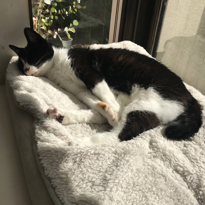 E3c329fc 35c8 4adb a354 b889a481158d 1514377667528