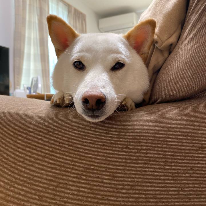 E3c33437 4680 4ffe b068 1e2e04e282a1 1572941952754