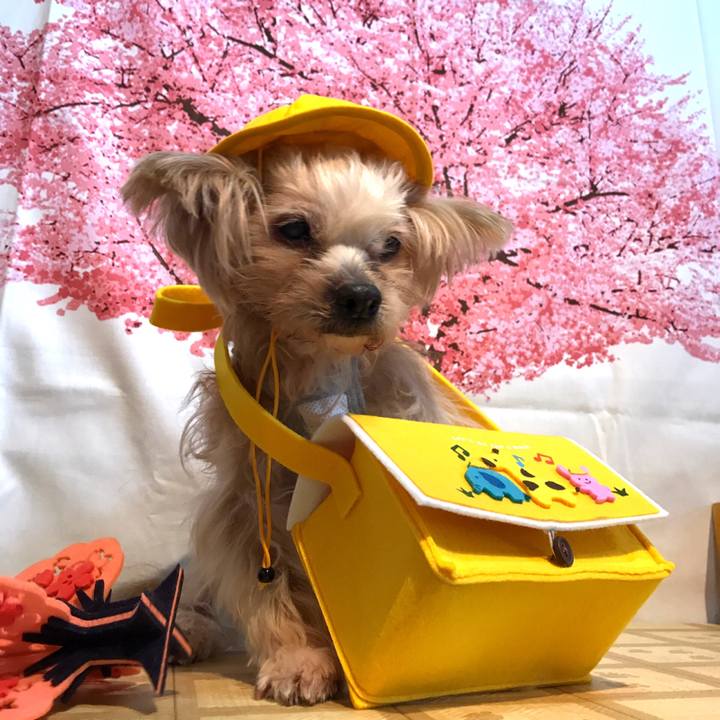 E3c338ce 626c 43b6 9237 abb3d26c32eb 1553596043146