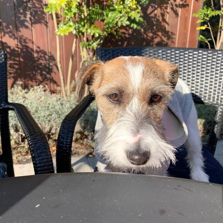 E3c35a99 1d4f 48de afb8 3b459f86b381 1578053478362