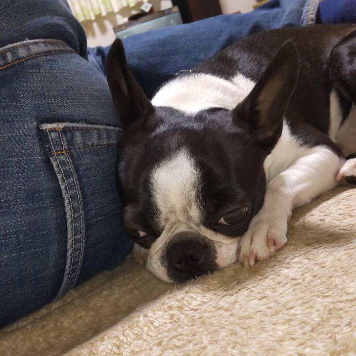 E3c36377 4900 4849 b40f 7a5847f56d6e 1615641598258