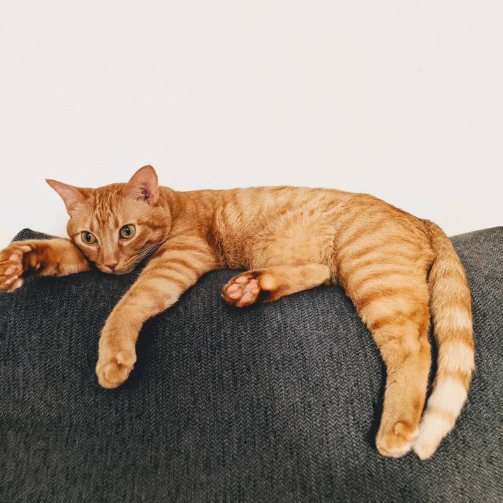 E3c363b2 5512 48f4 8ab9 7d6fadb4eb43 1629192606381