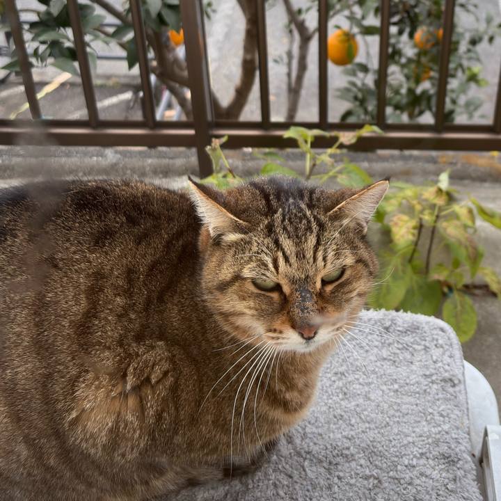 E3c37b1b 04ed 48af a386 eed764f3c4ac 1766792879291