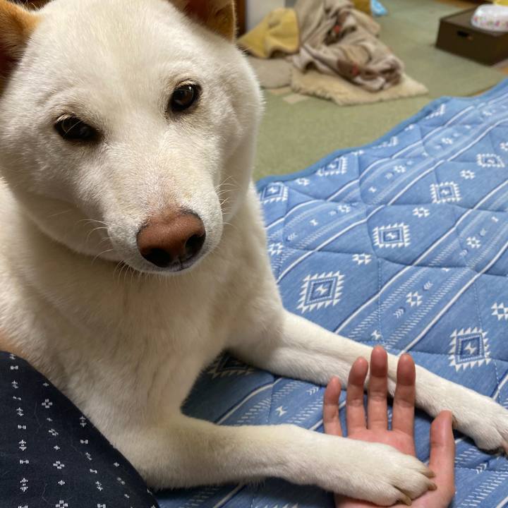 E3c38a7a 81f6 41ad a3e2 282999af993b 1594467179107