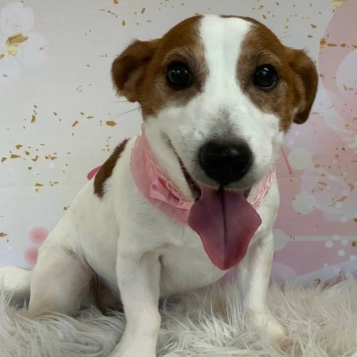 E3c3af0d 04bf 4f1d 867d 4c2264291c72 1709724988118