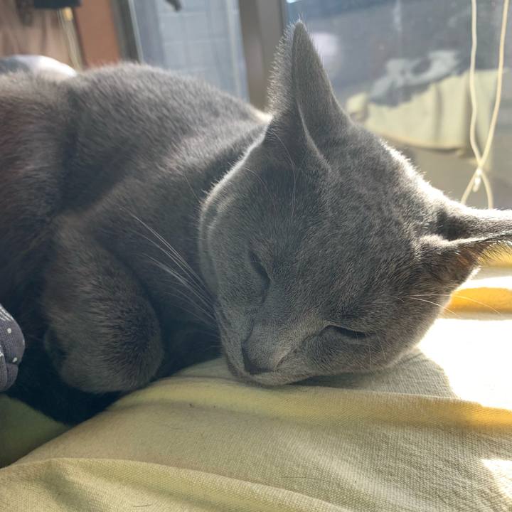 E3c3e381 be10 4d69 b11d 209722031175 1572827232689