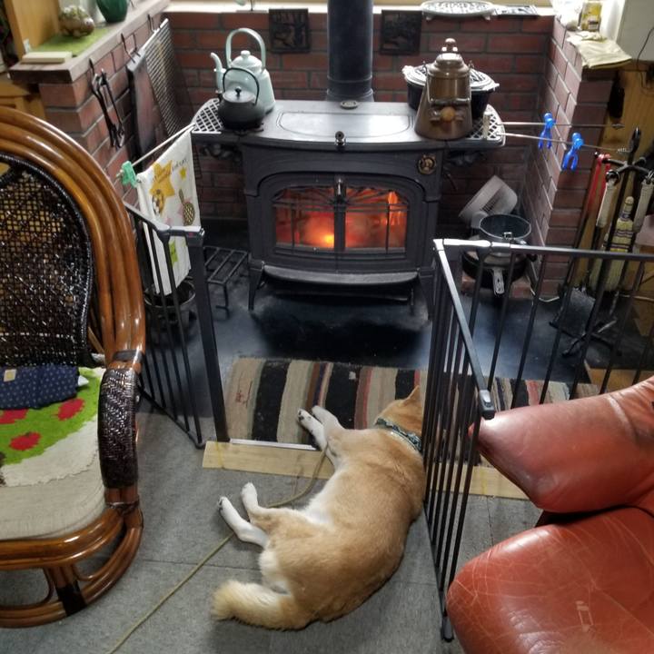 E3c3f37f 16e1 408a b61d 2d8a3c277723 1707434157961