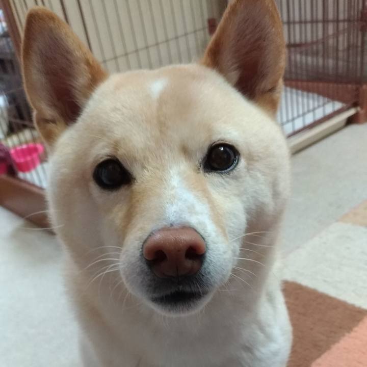 E3c422fd 75b0 4ab9 a442 23a9d3c241e0 1578697593047