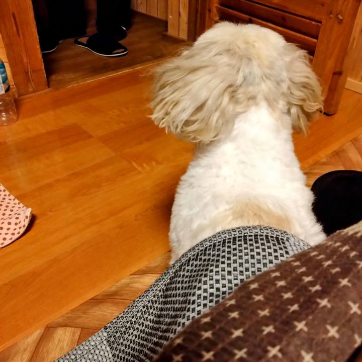 E3c428df 8a17 466f 97b7 b3cecaf78d1a 1700386198748