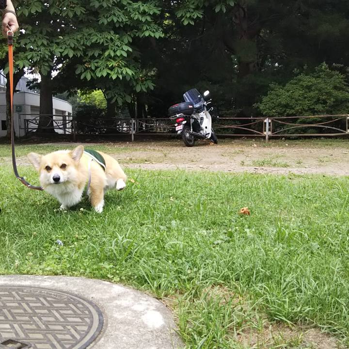 E3c44053 6d45 43e7 a54d c379ca027889 1531607990478