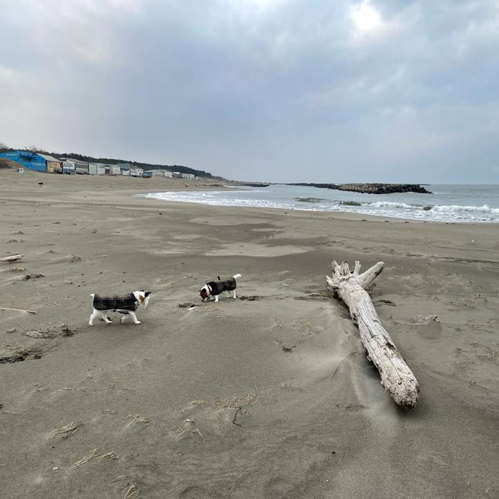 E3c477a1 f56f 4e50 9b3c 375abd10a920 1770948656235