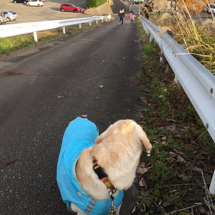 E3c47c09 9094 400c 9a1c 17c197c7ff60 1544943845096