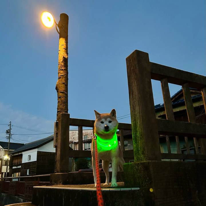 E3c4c8e9 a69a 48c3 af15 201cddc3e536 1740223617623