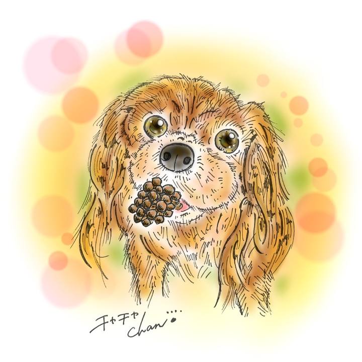 E3c4c9cc b1c1 4966 9904 4b3b0304a8de 1583596121606