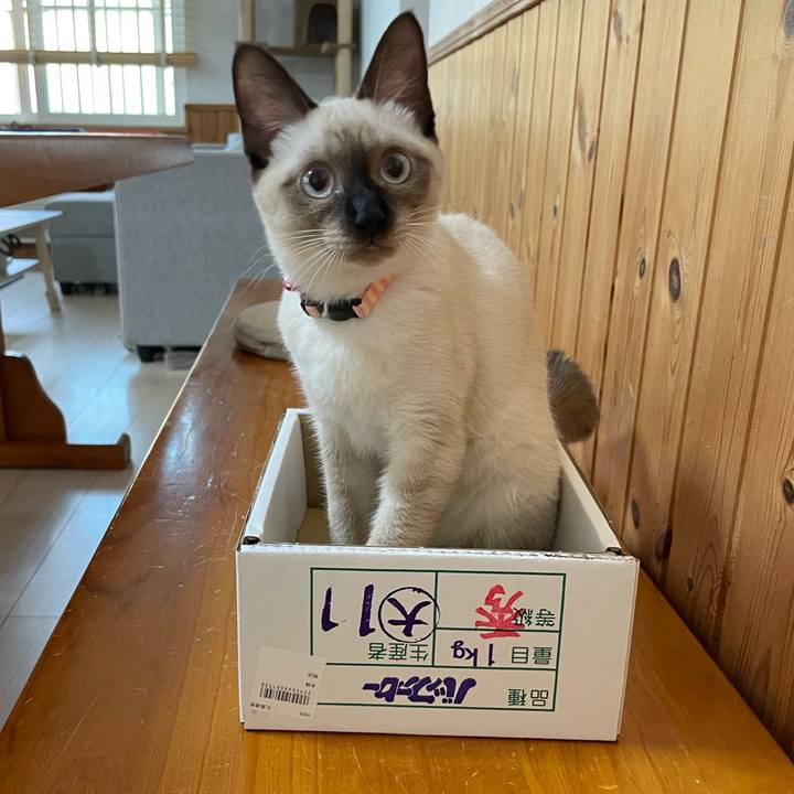 E3c4d8dc a380 4f15 83ba 27173dd44701 1694898759060