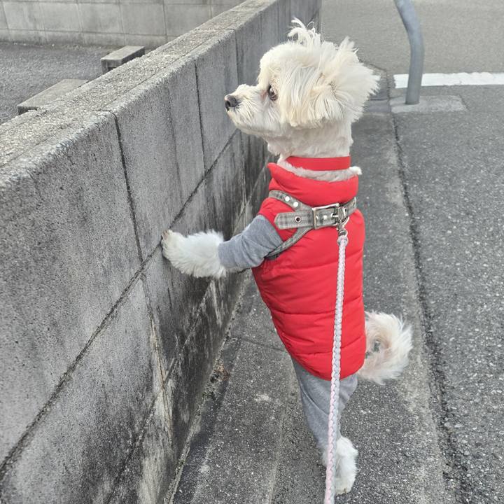 E3c4de6d bacd 4286 8b01 6a5812cf9c30 1769056589335