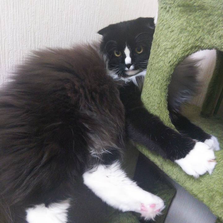 E3c4e6c0 e955 4b33 a529 aa99965bfce2 1661909084384